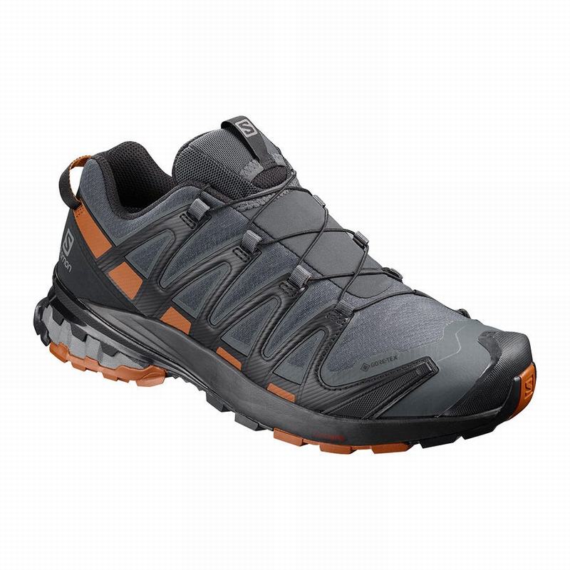 Zapatillas Trail Running Salomon Hombre Azules Oscuro / Negras - Salomon Argentina XA PRO 3D V8 GORE